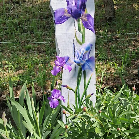Herberg Dell Arte 'alberi' Trarego Viggiona