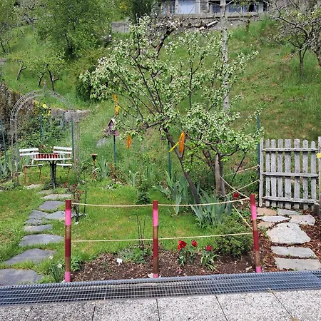 Dell Arte 'alberi' Gasthof